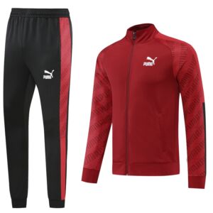 Puma Training Set