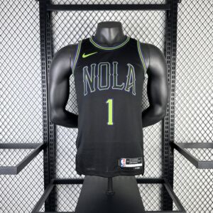 New Orleans Pelicans 2024