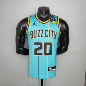 Charlotte Hornets