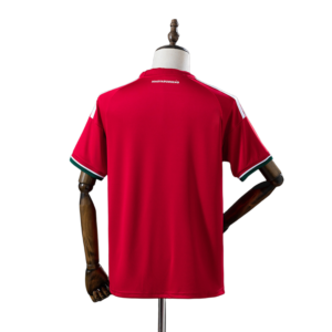 Camiseta Hungría Mundial 2026